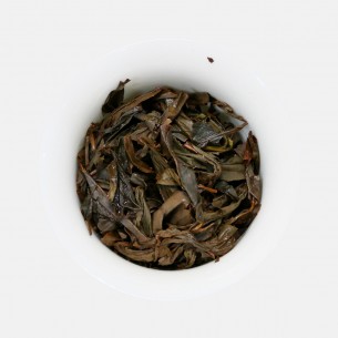 野放红茶 24新