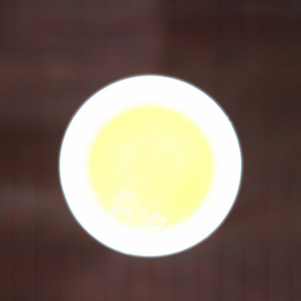 青桂黄片