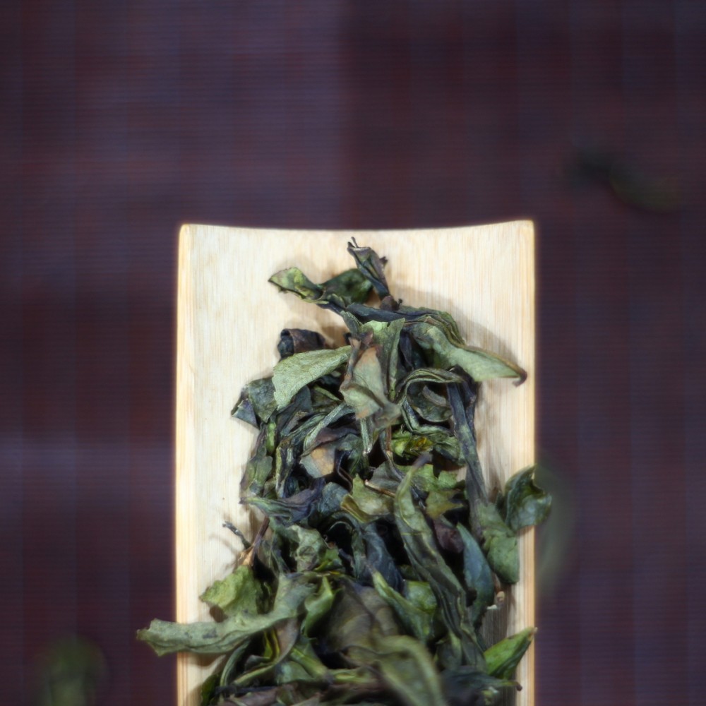 青桂黄片