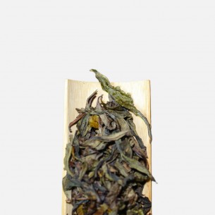 小牛肉黄片