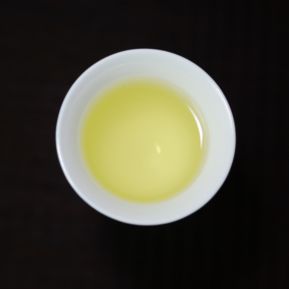 正味528 26春