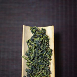 正味528 26春